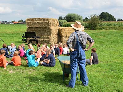 Beschrijving afbeelding 1